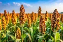 AdobeStock_997933477.webp