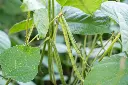 AdobeStock_639195610.webp