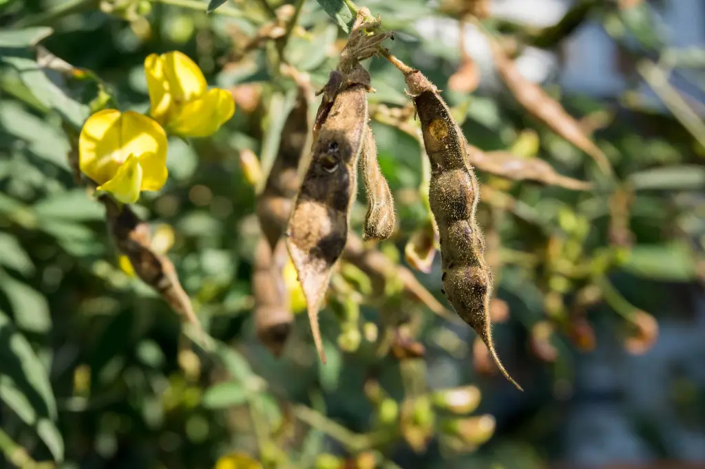 AdobeStock_500567413.webp
