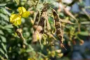 AdobeStock_500567413.webp