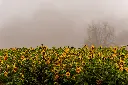 AdobeStock_913613107.webp