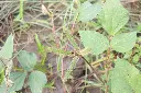AdobeStock_474115986.webp
