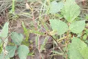 AdobeStock_474115986.webp