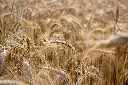 AdobeStock_896118843.webp