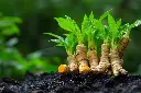 AdobeStock_987202919.webp