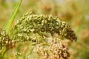 AdobeStock_412507106.webp