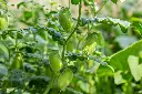 AdobeStock_558366550.webp