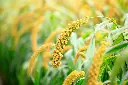AdobeStock_176954837.webp