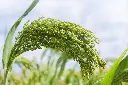 AdobeStock_318709453.webp