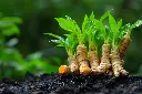 AdobeStock_987202919.webp