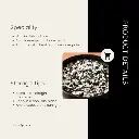 TP 1_6.webp