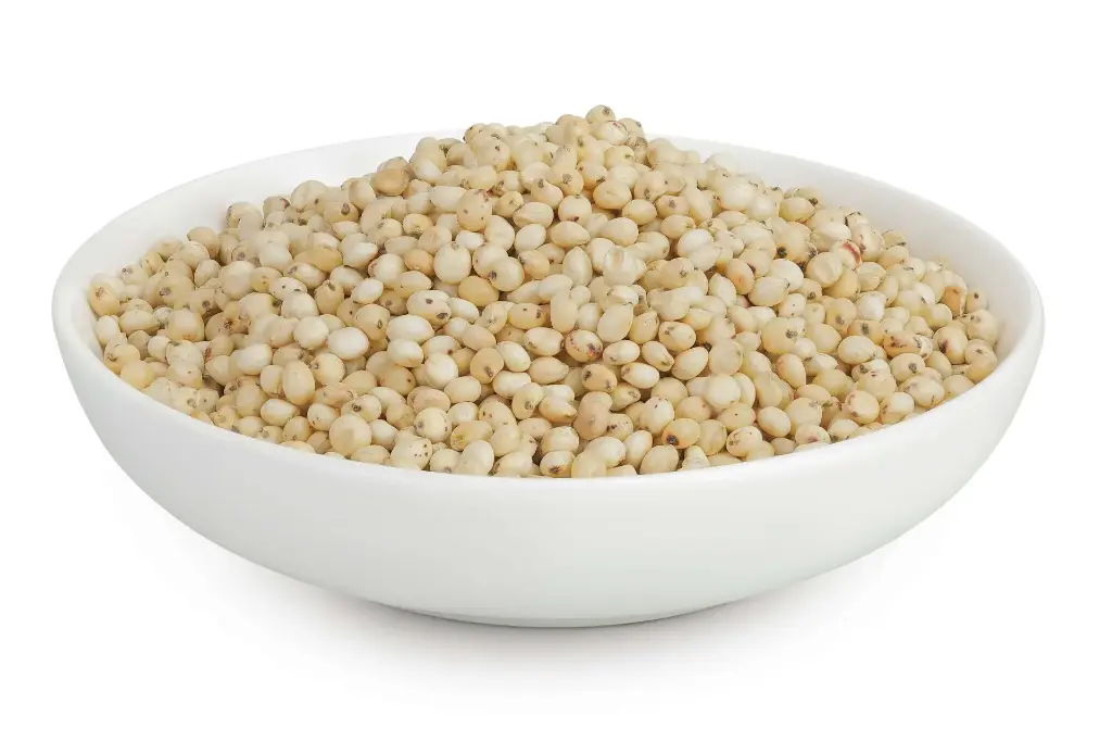 Sorghum Whole Grain
