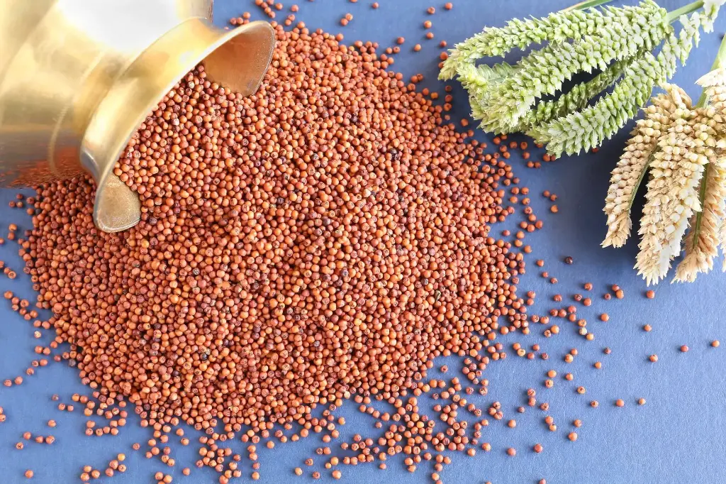 Ragi Whole Grain