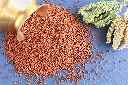 Ragi Whole Grain