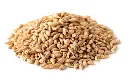 Barley