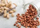 Ground Nut