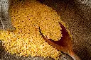 Red Gram Pulses