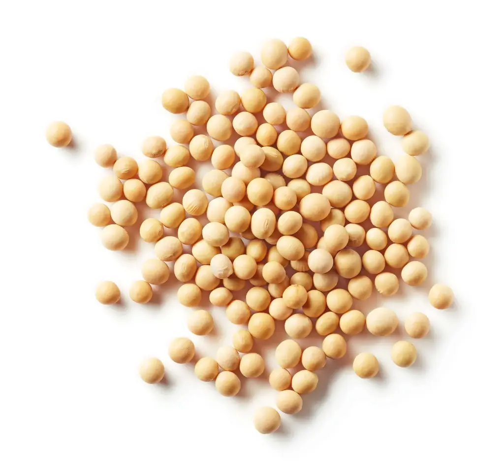 Soyabean
