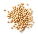 Soyabean