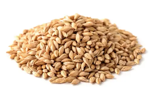 Barley