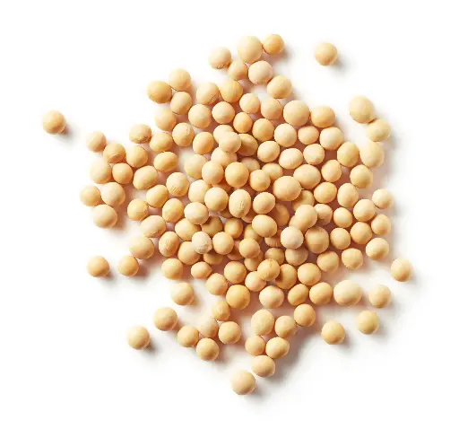 Soyabean
